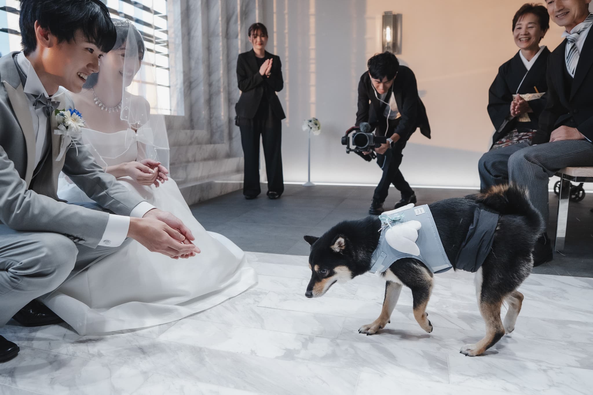 大切なご家族わんちゃんと一緒に誓える幸せWEDDING♪